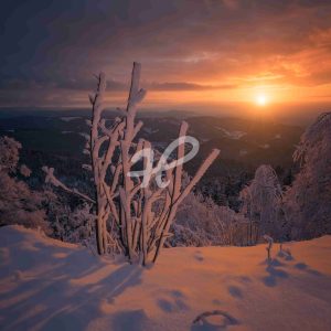 Farbenreicher Sonnenuntergang auf der Hornisgrinde II