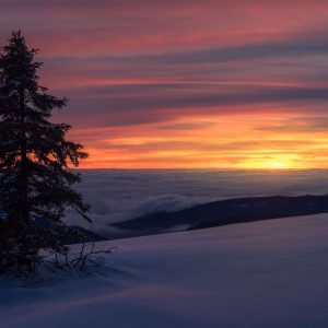 Abendliche Inversion mit Schnee im Schwarzwald