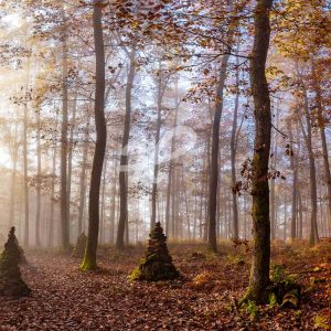 Feenwald, Panorama aus dem Pfälzer Wald bei Busenberg (Südwestpfalz) mit Steintürmen und Nebel