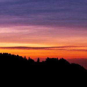 Schwarzwald Silhouette