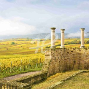 Römisches Weingut Weilberg in Ungstein im Herbst